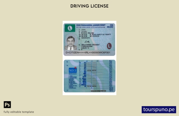 Plantilla actual del permiso de conducir de Irlanda (permiso de aprendizaje) lis